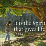 Sunday_21_cycleB_OT_2_496x331