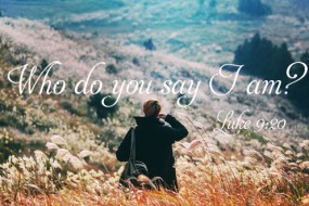 Sunday_12_16062013_1_496-331