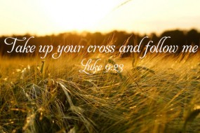 Sunday_12_16062013_2_496-331