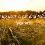 Sunday_12_16062013_2_496-331