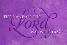 Sunday_12_23062013_3_496-331