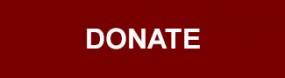 donate-sidebar